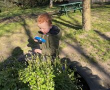 Copy of Copy of IMG 2910