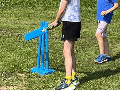 Cricket 2024