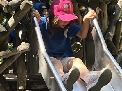 Img 3951