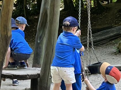 Img 3953