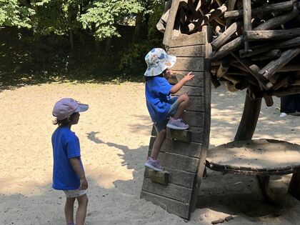 Img 3964