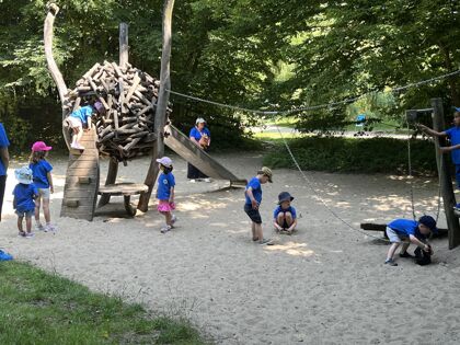 Img 3966