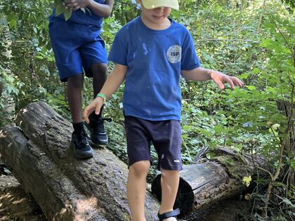 Img 3967