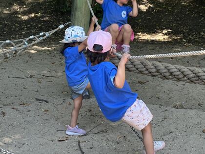 Img 3988