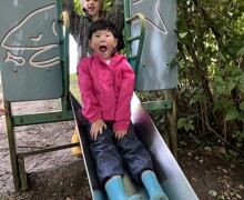 IMG 7912