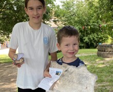 IMG 4451