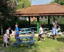 IMG 4441