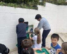 IMG 3557 (1)