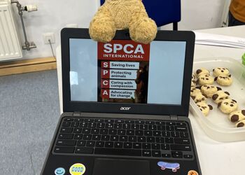 What a Wonderful World Presentation