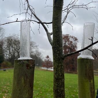 IPS Weather Measurement Experiment