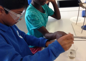 Science Trip to Waterloo
